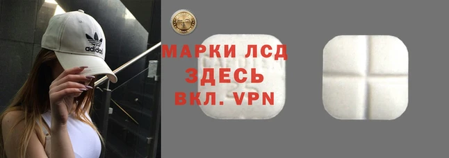 стафф Богородицк