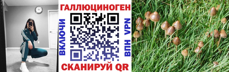 Псилоцибиновые грибы Magic Shrooms  Кстово 